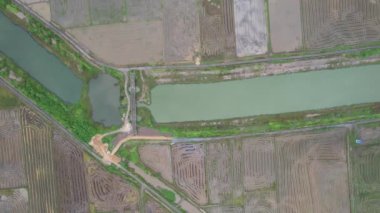 Kedah, Malezya 'nın Paddy Pirinç Tarlaları