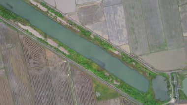 Kedah, Malezya 'nın Paddy Pirinç Tarlaları