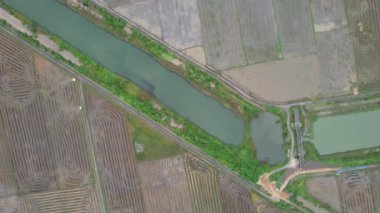 Kedah, Malezya 'nın Paddy Pirinç Tarlaları