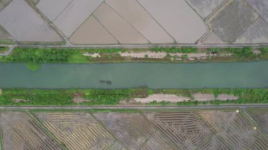 Kedah, Malezya 'nın Paddy Pirinç Tarlaları