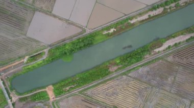 Kedah, Malezya 'nın Paddy Pirinç Tarlaları