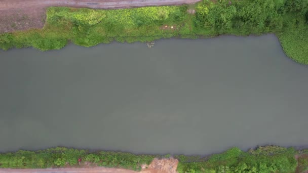 Paddy Rice Fields Kedah Malaysia — Stock Video