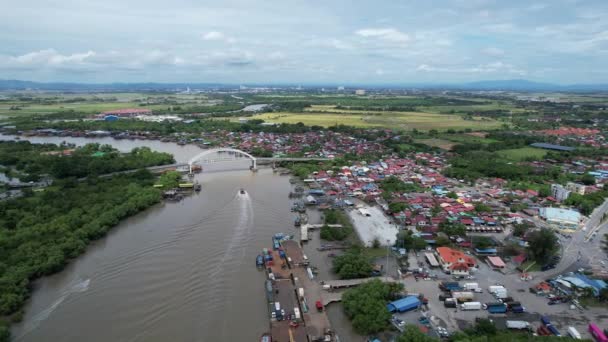 Pola Ryżowe Paddy Kedah Malezja — Wideo stockowe