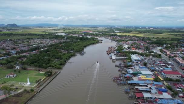 Paddy Rice Fields Kedah Μαλαισία — Αρχείο Βίντεο