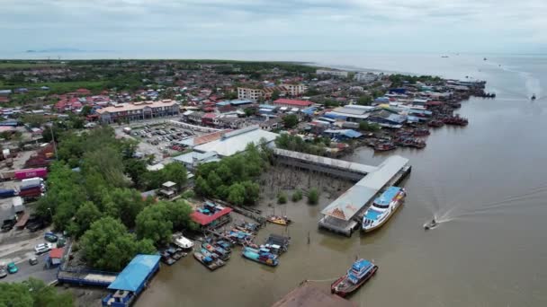 Los Campos Arroz Arroz Kedah Malasia — Vídeo de stock