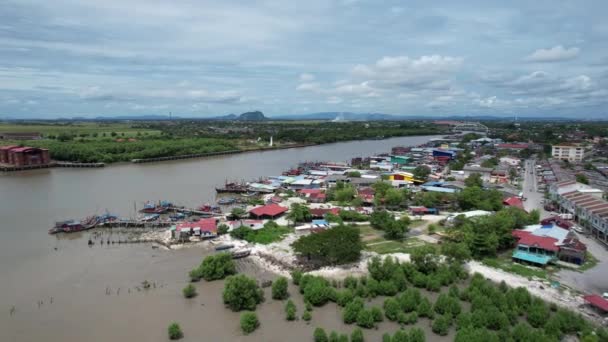 Pola Ryżowe Paddy Kedah Malezja — Wideo stockowe