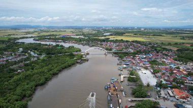 Kedah, Malezya 'nın Paddy Pirinç Tarlaları