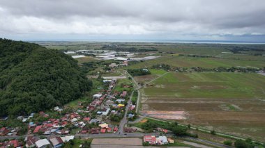 Kedah, Malezya 'nın Paddy Pirinç Tarlaları