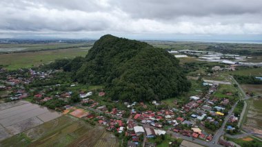 Kedah, Malezya 'nın Paddy Pirinç Tarlaları