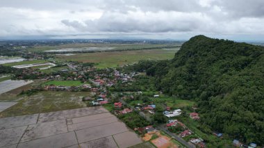 Kedah, Malezya 'nın Paddy Pirinç Tarlaları