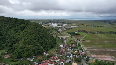 Kedah, Malezya 'nın Paddy Pirinç Tarlaları