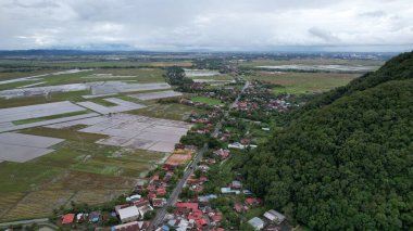 Kedah, Malezya 'nın Paddy Pirinç Tarlaları