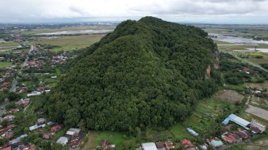 Kedah, Malezya 'nın Paddy Pirinç Tarlaları
