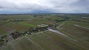 Kedah, Malezya 'nın Paddy Pirinç Tarlaları