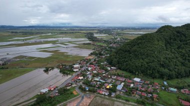 Kedah, Malezya 'nın Paddy Pirinç Tarlaları