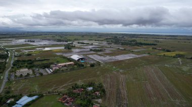 Kedah, Malezya 'nın Paddy Pirinç Tarlaları