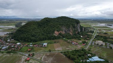 Kedah, Malezya 'nın Paddy Pirinç Tarlaları