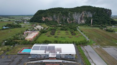 Kedah, Malezya 'nın Paddy Pirinç Tarlaları