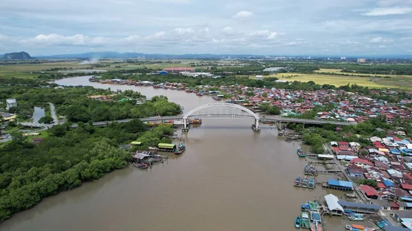 Kedah Malezya Nın Paddy Pirinç Tarlaları — Stok fotoğraf