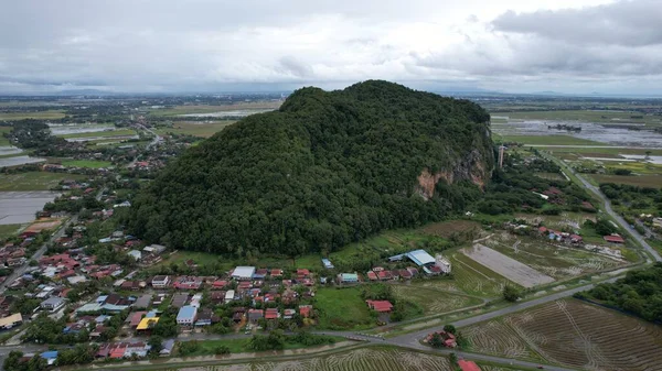 Kedah, Malezya 'nın Paddy Pirinç Tarlaları