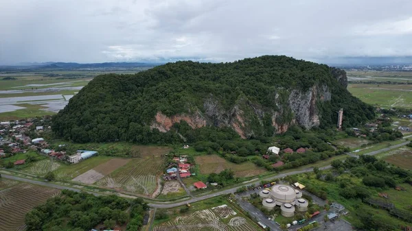 Kedah, Malezya 'nın Paddy Pirinç Tarlaları