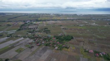 Kedah, Malezya 'nın Paddy Pirinç Tarlaları
