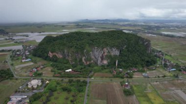 Kedah, Malezya 'nın Paddy Pirinç Tarlaları
