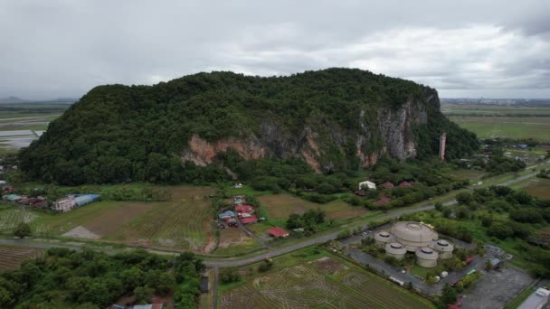 Los Campos Arroz Arroz Kedah Malasia — Vídeos de Stock