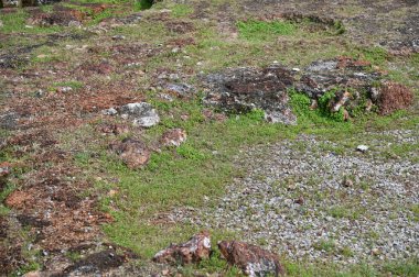 Malacca, Malezya - 16 Ekim 2022: Malacca 'nın Tarihi Tarihi Tarihi Binaları ve Turist Çekimleri