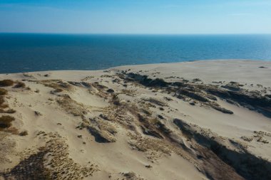 Curonian Spit 'in altın kum tepelerinin panoramik hava görüntüsü. Baltık Denizi kıyısı, orman kuşağı