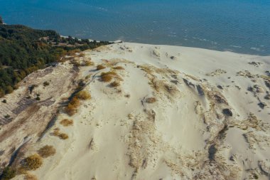 Curonian Spit 'in altın kum tepelerinin panoramik hava görüntüsü. Baltık Denizi kıyısı, orman kuşağı.