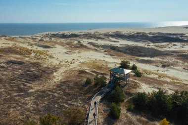 Curonian Spit 'in altın kum tepelerinin panoramik hava görüntüsü. Baltık Denizi kıyısı, orman kuşağı.