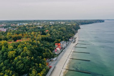 Baltık Denizi kıyısının panoramik hava manzarası ve tatil beldesi Svetlogorsk 'taki gezinti alanı, sahil, dalgalar dalgaların dalgalanması, Eski ahşap tepeler. Kalininingrad bölgesi