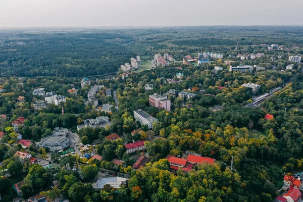 Svetlogorsk şehrinin panoramik hava manzarası, Kaliningrad bölgesi, yeşil ağaçlar, konut binaları