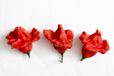 Beyaz arka planda kurutulmuş kırmızı Vezir biberi, parlak turbiber meyveleri, kırmızı biber, üst manzara.