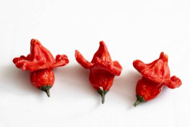 Beyaz arka planda kurutulmuş kırmızı Vezir biberi, parlak turbiber meyveleri, kırmızı biber, üst manzara.