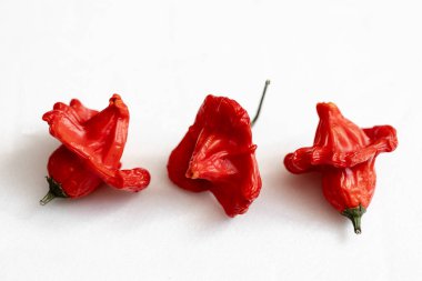 Beyaz arka planda kurutulmuş kırmızı Vezir biberi, parlak turbiber meyveleri, kırmızı biber, üst manzara.