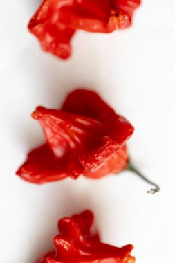 Beyaz arka planda kurutulmuş kırmızı Vezir biberi, parlak turbiber meyveleri, kırmızı biber, üst manzara.