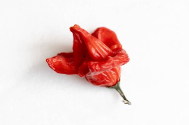 Beyaz arka planda kurutulmuş kırmızı Vezir biberi, parlak turbiber meyveleri, kırmızı biber, üst manzara.
