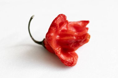 Beyaz arka planda kurutulmuş kırmızı Vezir biberi, parlak turbiber meyveleri, kırmızı biber, üst manzara.