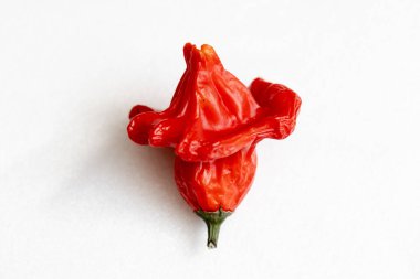 Beyaz arka planda kurutulmuş kırmızı Vezir biberi, parlak turbiber meyveleri, kırmızı biber, üst manzara.