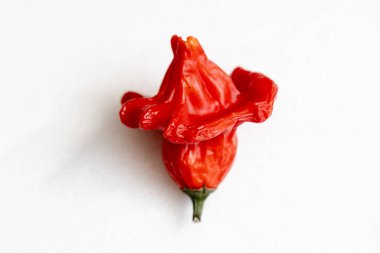 Beyaz arka planda kurutulmuş kırmızı Vezir biberi, parlak turbiber meyveleri, kırmızı biber, üst manzara.