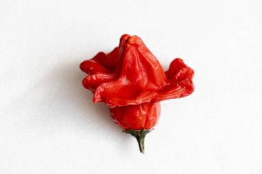 Beyaz arka planda kurutulmuş kırmızı Vezir biberi, parlak turbiber meyveleri, kırmızı biber, üst manzara.