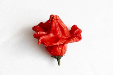 Beyaz arka planda kurutulmuş kırmızı Vezir biberi, parlak turbiber meyveleri, kırmızı biber, üst manzara.