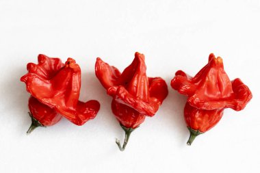 Beyaz arka planda kurutulmuş kırmızı Vezir biberi, parlak turbiber meyveleri, kırmızı biber, üst manzara.