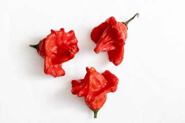Beyaz arka planda kurutulmuş kırmızı Vezir biberi, parlak turbiber meyveleri, kırmızı biber, üst manzara.