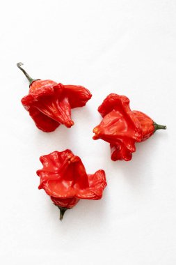 Beyaz arka planda kurutulmuş kırmızı Vezir biberi, parlak turbiber meyveleri, kırmızı biber, üst manzara.