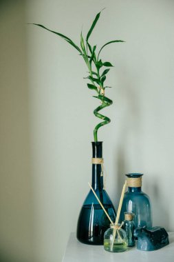 Bir vazoda kapalı bambu dalları, beyaz bir masa üzerinde aromatik kamış hava spreyi, yakın plan, boş kavanozlar veya mavi renkli şişeler. İç elementler.