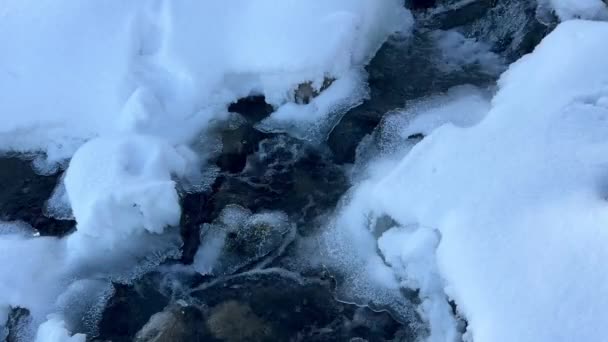 Um córrego selvagem flui em um dia gelado na floresta, grandes pedras na água, água congelada, pedaços de gelo flutuam no rio — Vídeo de Stock