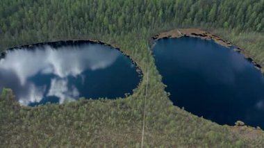 Lammin-Suo Bataklık Doğa Koruma Alanı 'nın havadan görünüşü, göldeki bulutların yansıması, Leningrad bölgesinde resim gibi bir yer. Orman kuşakları ve bataklık arazisi